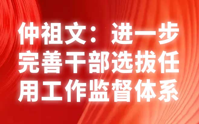 仲祖文：进一步完善干部选拔任用工作监督体系