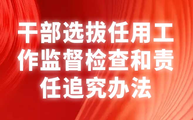 干部选拔任用工作监督检查和责任追究办法