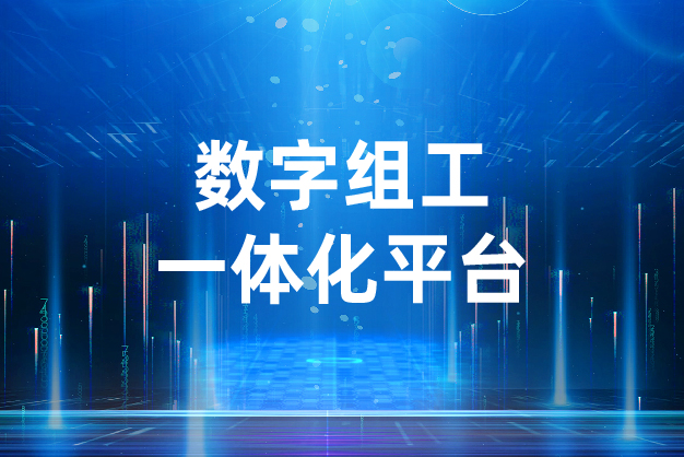 党建数字组工一体化平台