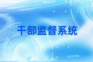 干部监督系统