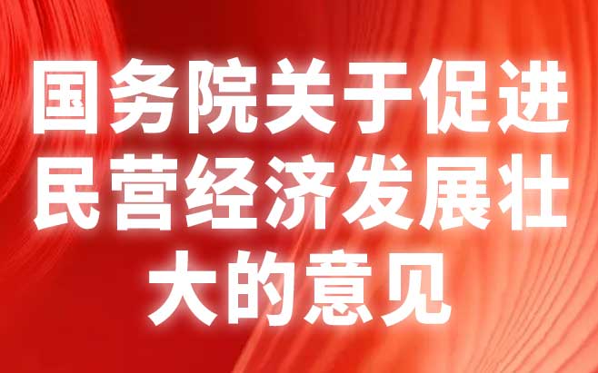 中共中央 国务院关于促进民营经济发展壮大的意见