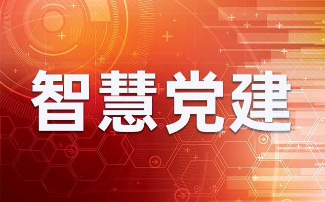 构建高效智慧党建系统，提升党组织治理能力与服务水平