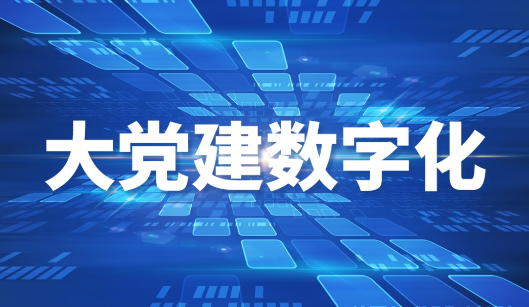 何为大党建数字化？这里都讲清楚了