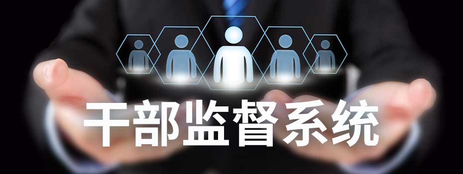 干部监督系统