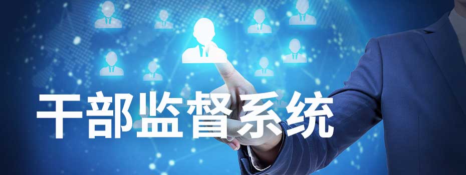 干部监督系统