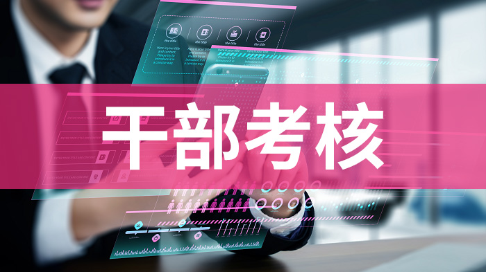技术服务于党管干部：干部考核系统建设几点思考