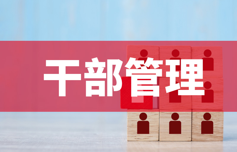 以数赋能、依制用人：奥远干部管理系统释放精准选配效能