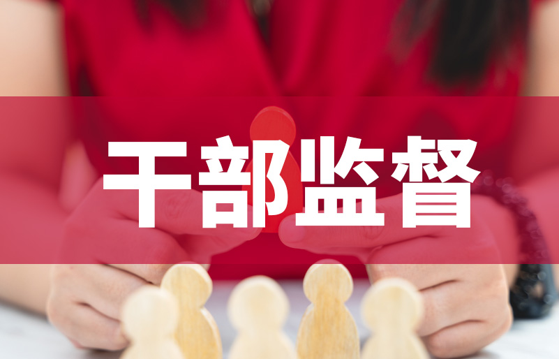 从“平面档案”到“立体背像”：奥远干部监督系统如何用数据给干部“画像”？