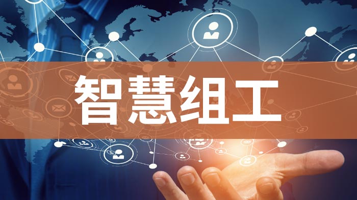 智慧组工 智慧组工