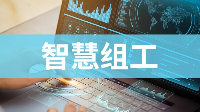 智慧组工