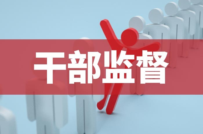 干部监督