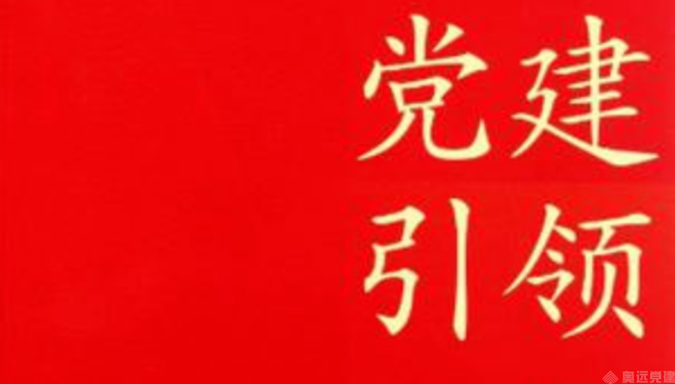 党建引领 党建引领