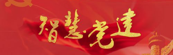 网络智慧党建 网络智慧党建