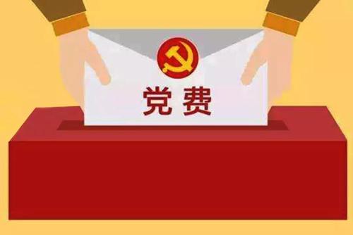 智慧党建党费管理 智慧党建党费管理