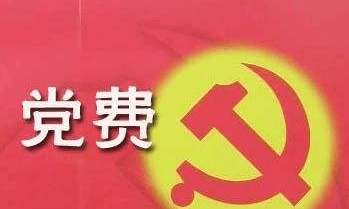 智慧党建党费管理